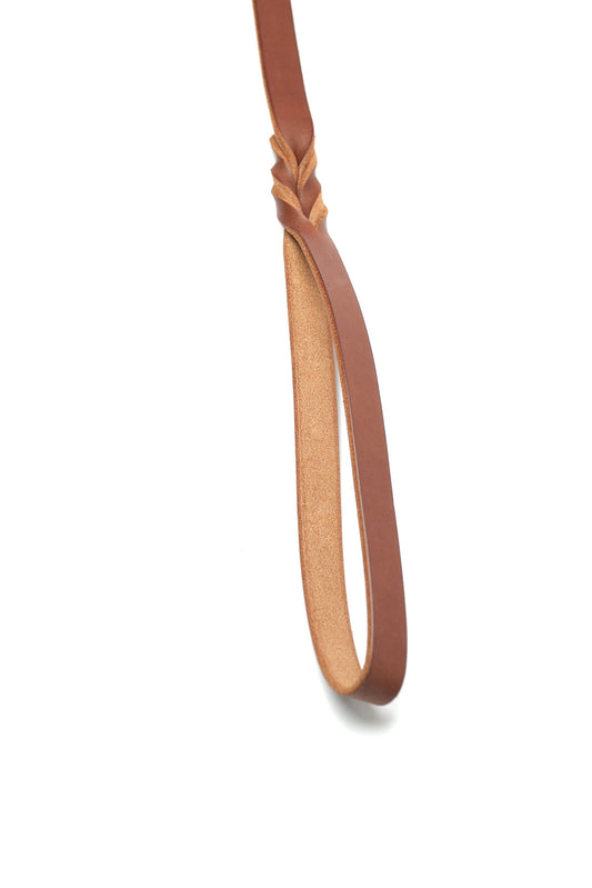 Chocolate Basket Dog Leash